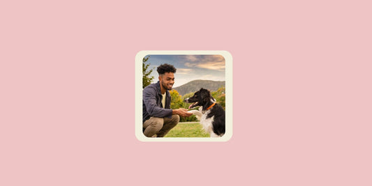 Man Shaking Dog's Hand