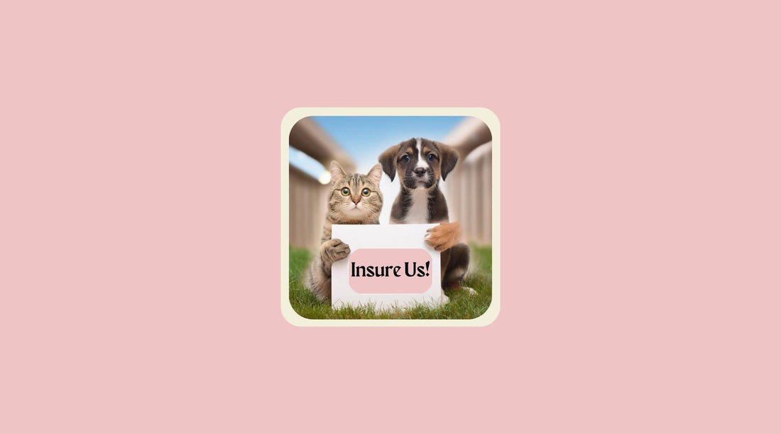 The Quick Reference Guide to Pet Insurance