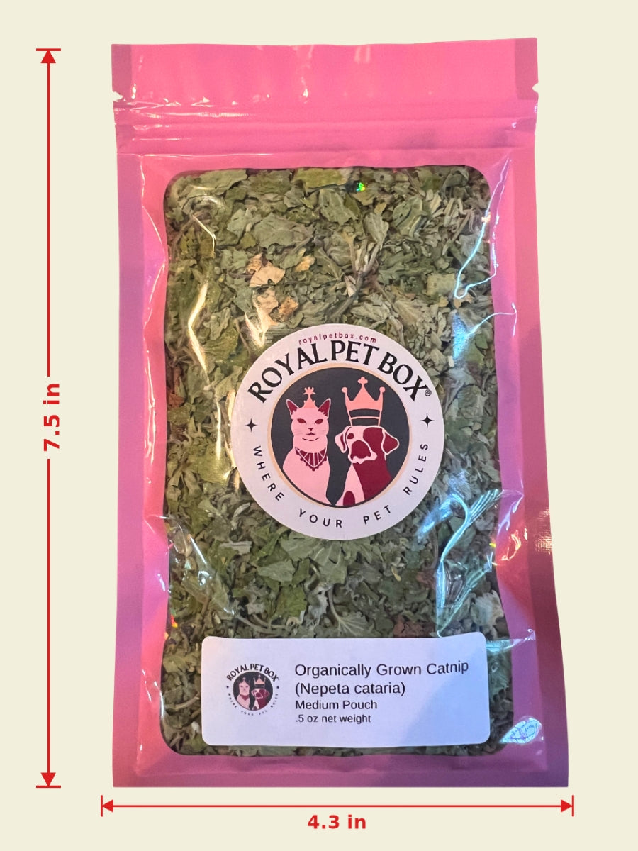 Catnip Medium Pouch with dimensions