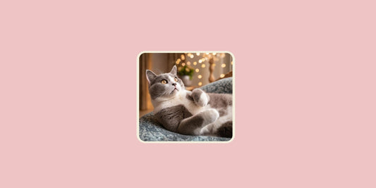 Does Your Cat Have a Primordial Pouch?