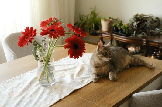 Tabby cat lounging on a table beside a vase of flowers