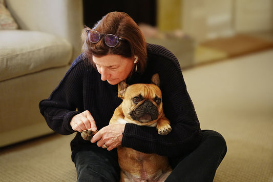 A woman calmly trimming her French Bulldog's nails at home on the floor