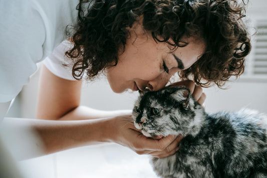 Woman gently touching noses with a fluffy cat in an affectionate bunting moment