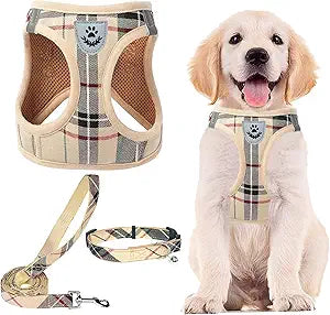 Dog Harness Collar and Leash