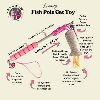 cats play with fishing pole Mad Cat Go Fish Light Up Wand Cat Toy which is a good gift for your cats Yirtree Cat Fishing Pole Toy,