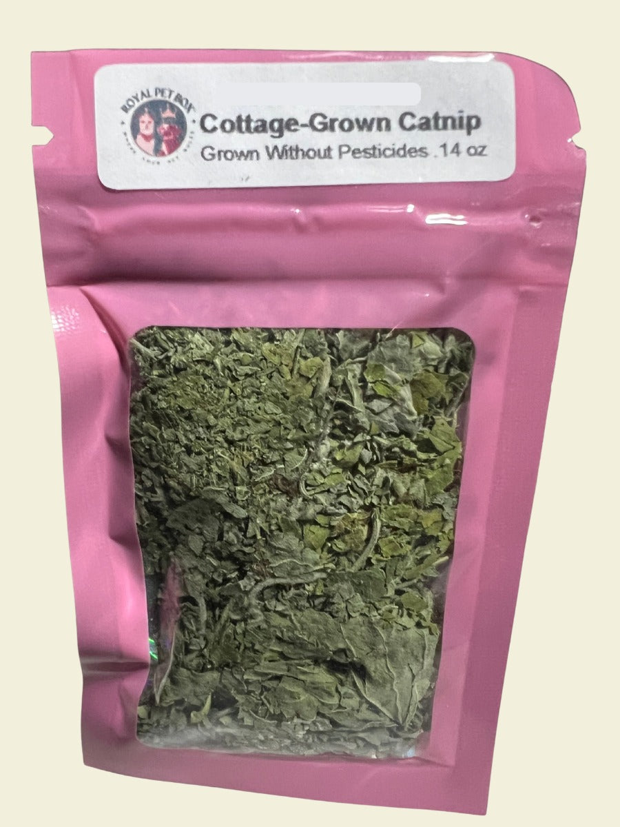Catnip Sample Front