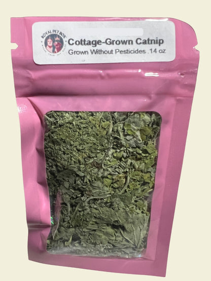 Catnip Sample Front