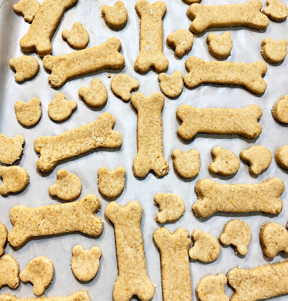 Barkworthy Bites: A Treat Recipe Book for Your Dog