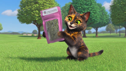 Cute catnip animated video